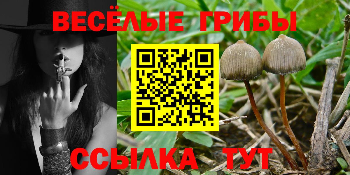 Галлюциногенные грибы GOLDEN TEACHER  Галлюциногенные грибы мухоморы  Всеволожск  Вход с VPN 
