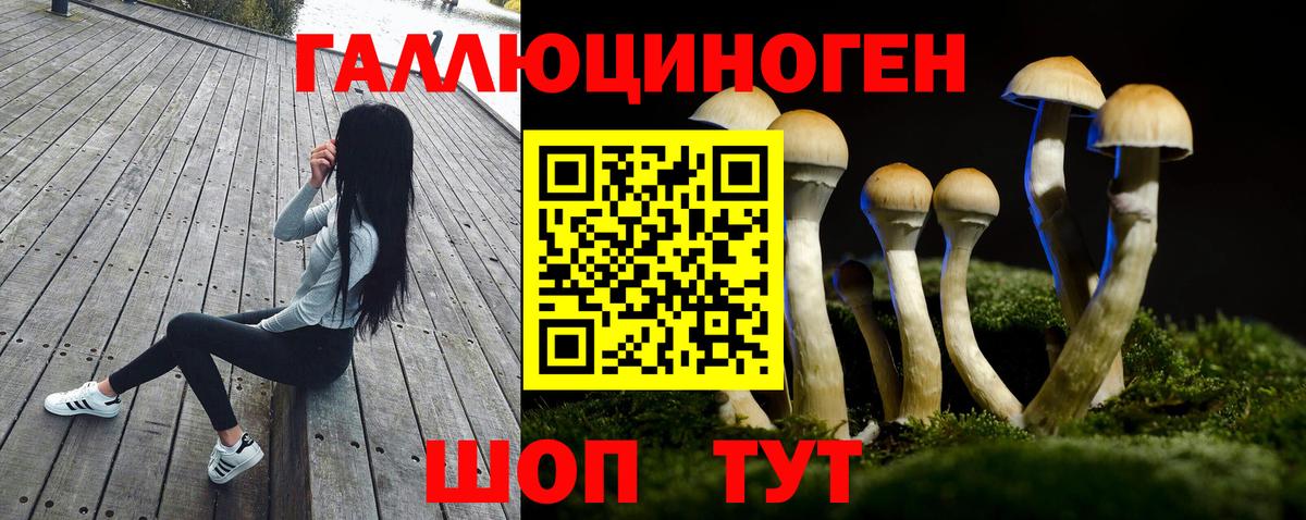 Псилоцибиновые грибы GOLDEN TEACHER Всеволожск